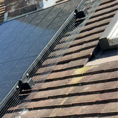 2025-08-01_06-55-26_1754027714