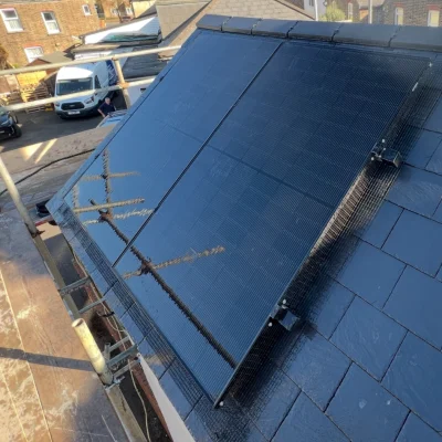 bird netting 2_1754028705