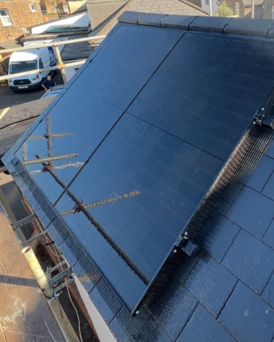 bird netting 2_1757950237